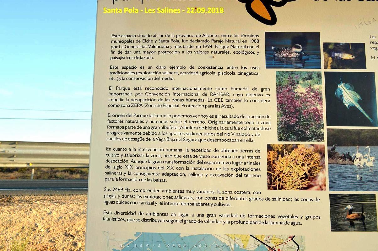 33 SANTA POLA LES SALINES (36).JPG